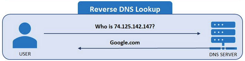 Reverse DNS Lookup - ®