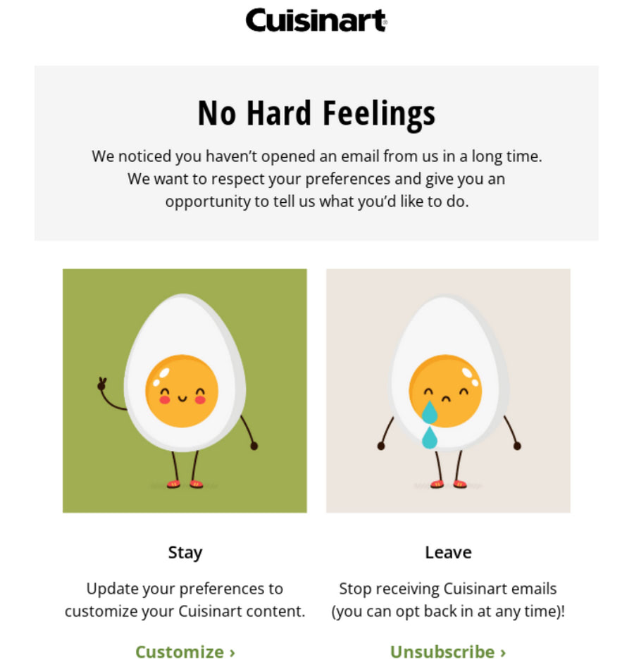 Re-engagement win-back email example from Cuisinart