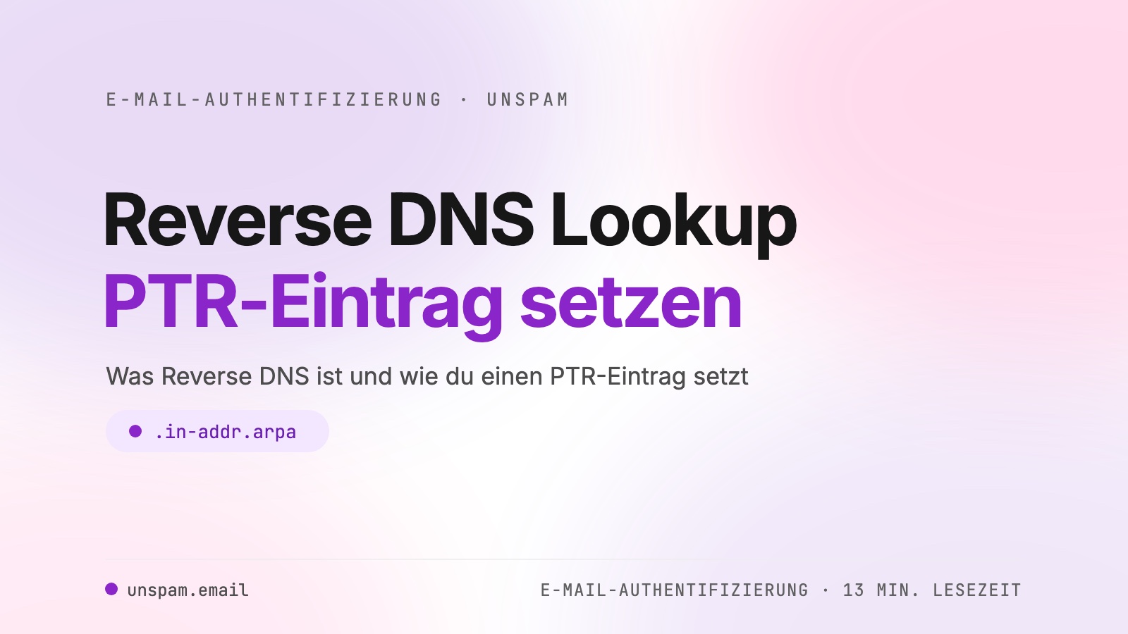 Reverse DNS Lookup: was es ist und wie du es einrichtest