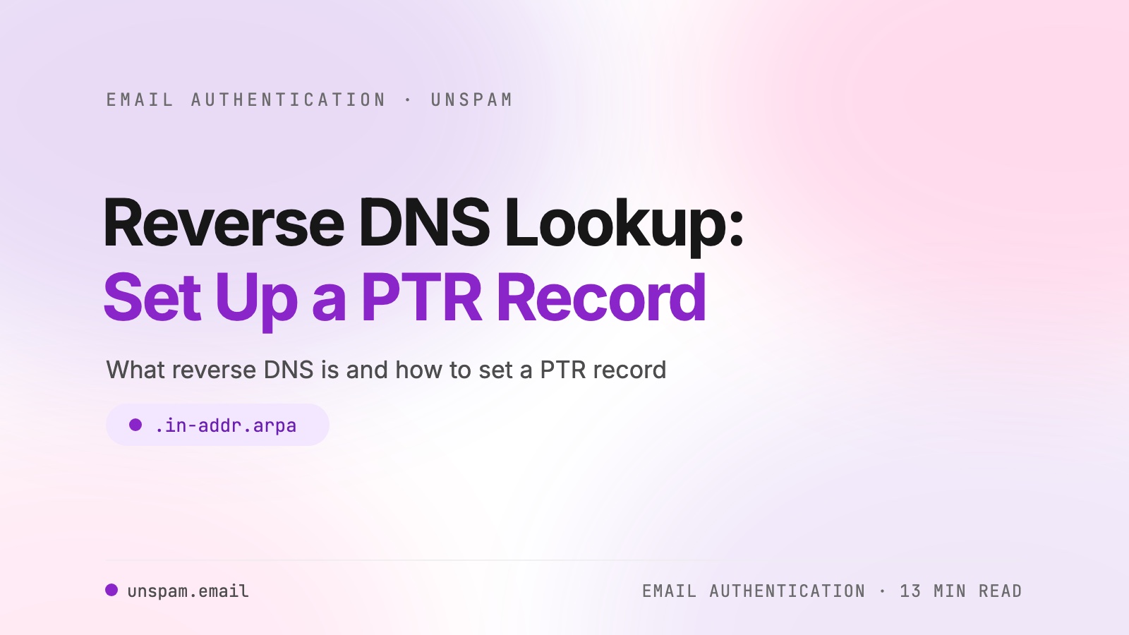 Reverse DNS Lookup: What it is and How to Set it Up